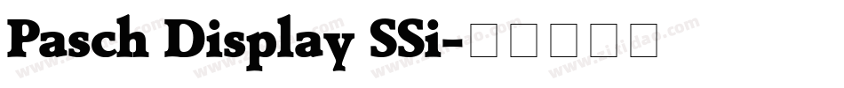 Pasch Display SSi字体转换